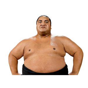 Sumo PNG-55611